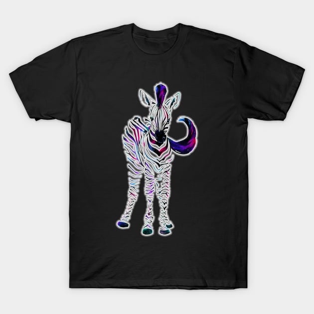 Galaxy Zebra T-Shirt by FishWithATopHat